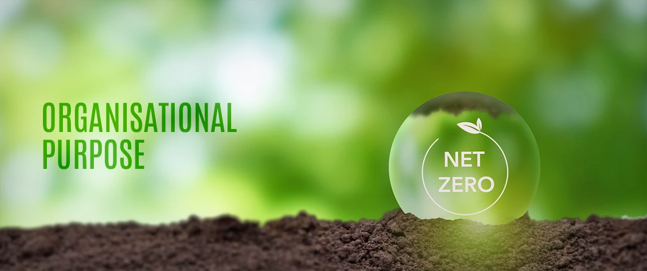 Organisational Purpose